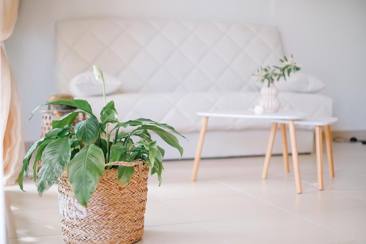 Oasis Garden House Lägenhet Nea Iraklitsa Exteriör bild